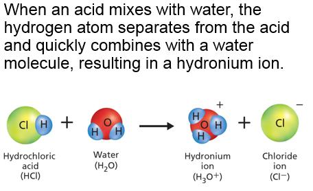 A base is a substance that produces hydroxide ions (OH ) when dissolved in water.
