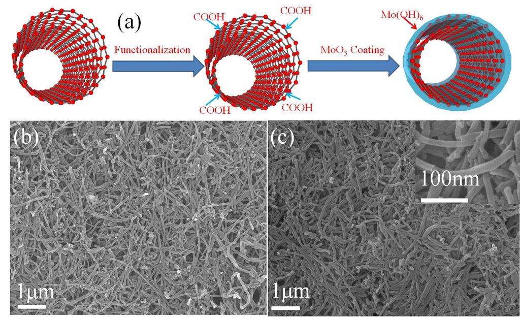 Ultra-thin Solution-based coating of Molybdenum Oxide on Multiwall