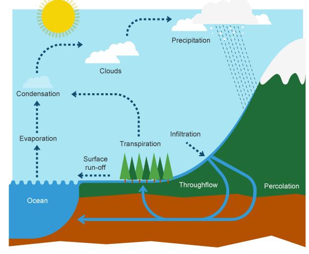 The Water Cycle The water cycle describes the continuous movement of water on, above and below the surface of the Earth.