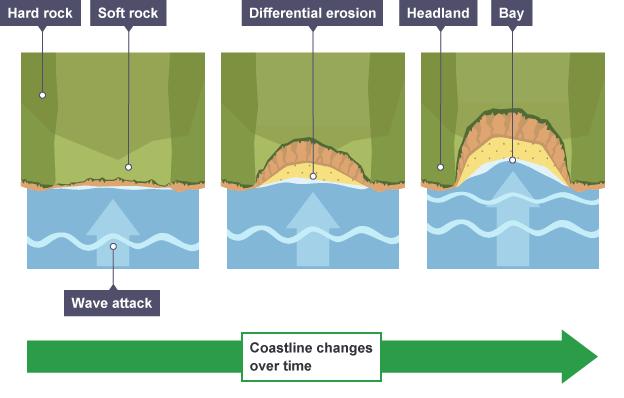 If there are different bands of rock along a coastline, the weaker or