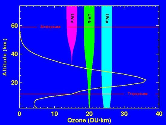 Composition has important implications for life on Earth UVc and UVb are harmful for DNA Ozone (and some other gases) absorb all UVc before