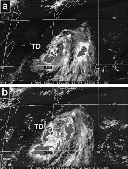 Development of the pre-irving depression Development to tropical storm