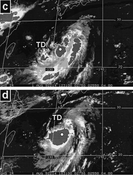 pre-irving depression MCSs were associated with mesoscale vortices(but not