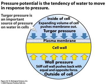 membrane 2012-01-24