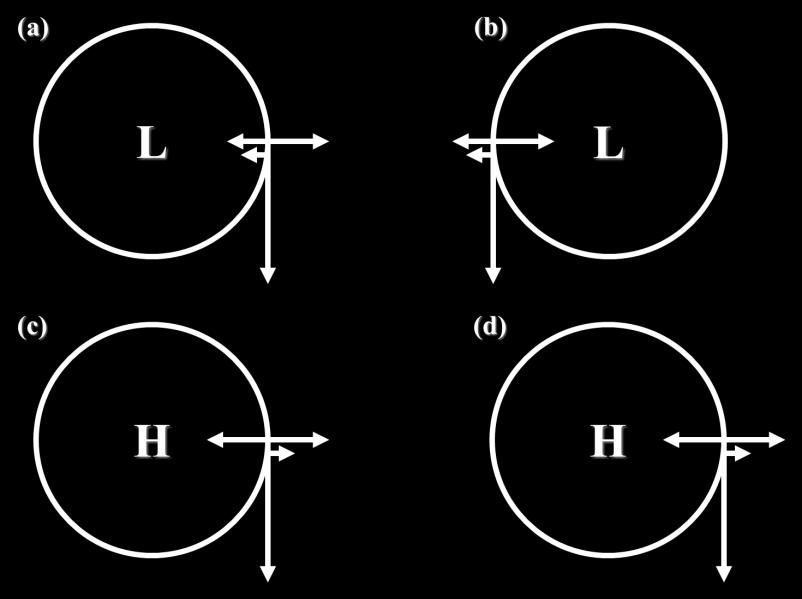 (always directed from high toward low), and the green arrow denotes the Coriolis force (always directed perpendicular and to the right of the wind).