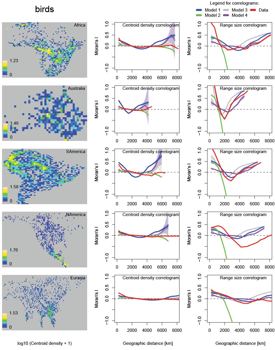 RESEARCH Supplementary Figure 13 Spatial distribution and autocorrelation of centroids and sizes of geographic ranges of birds.