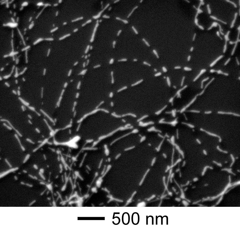 Figure S3. SEM image of the nanostructures obtained after the reaction had proceeded for 35 min (corresponding to the sample in Figure 2D).