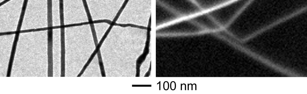 Since the nanowires had grown for a sufficiently long period of time, the