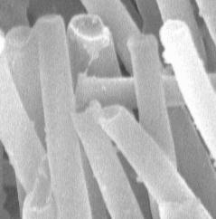 Sliding induced adhesion of stiff polymer microfiber arrays:. 5 Figure. A scanning electron microscope (SEM) image showing shape of tips of synthetic microfibers (l = µm, r =.3 µm).