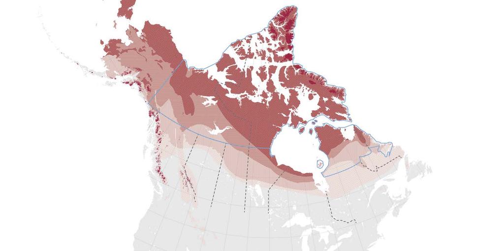 INFRASTRUCTURE Resiliency Transportation Reducing risks Permafrost map of Canada (Data courtesy of