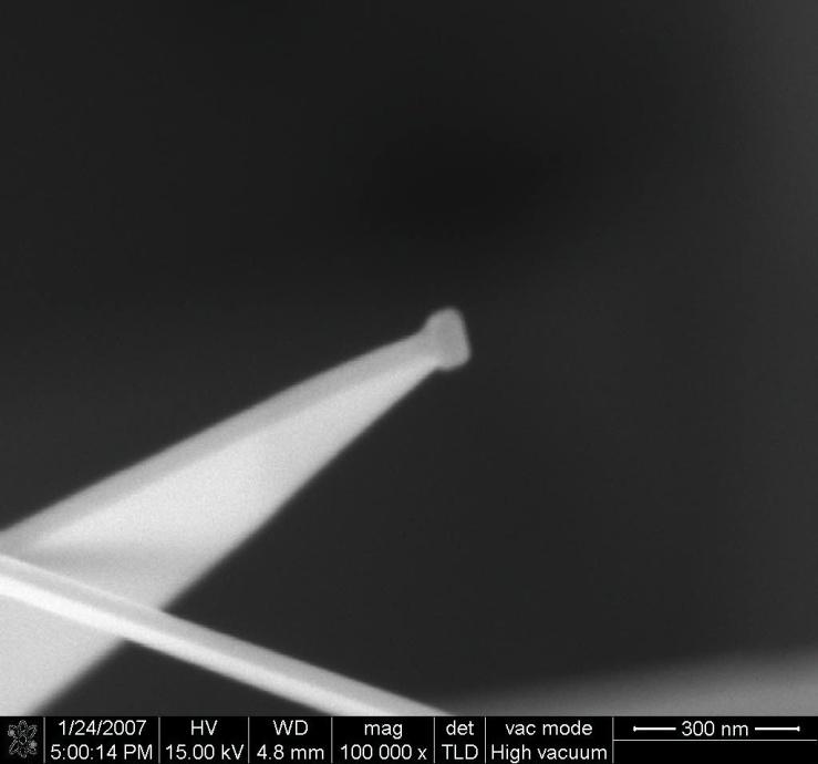 (800 o C; 20min) Dimensions: ~50 nm thick; ~ 4 µm wide &
