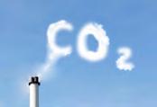 Carbon dioxide Plants obtain carbon dioxide (CO 2 ) from the