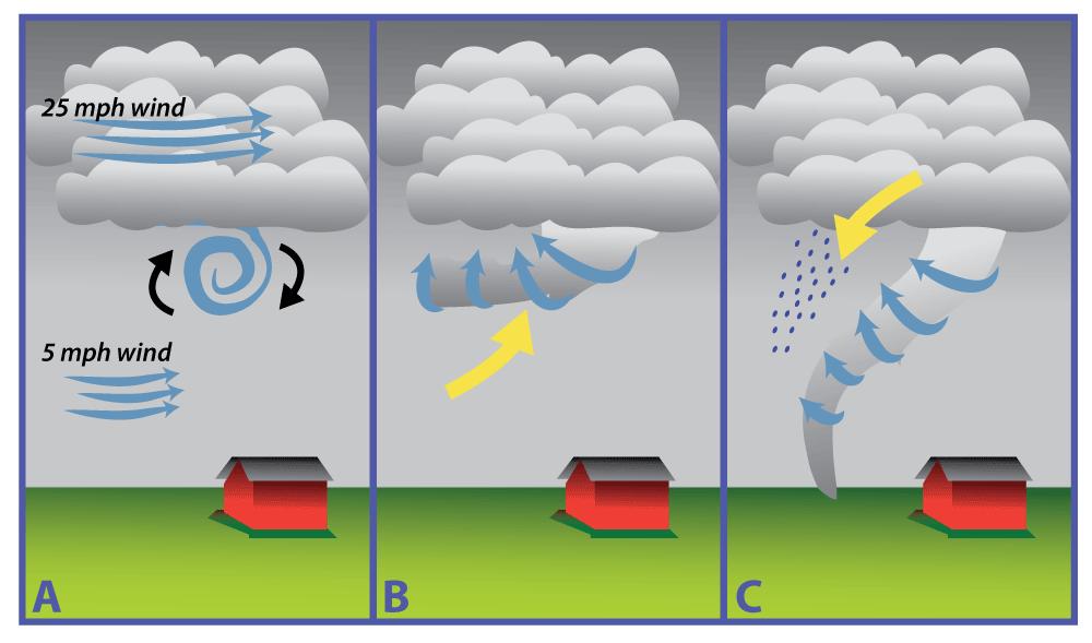 Tornado Formation Tornadoes form from thunderstorms which contain one or more updrafts (upward moving air which is warm and moist): A.