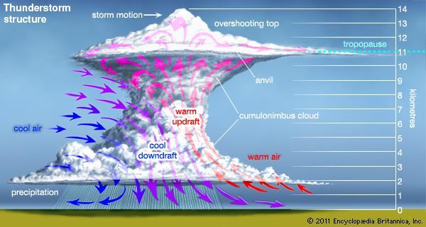 Thunderstorm Structure The height of a thunderstorm is controlled/limited by the depth of the troposphere (the stratosphere above
