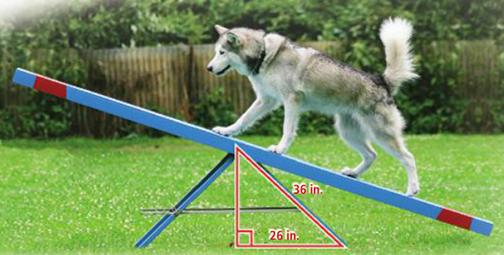 Problem 3: Finding Distance I Do Dog agility courses often contain a seesaw
