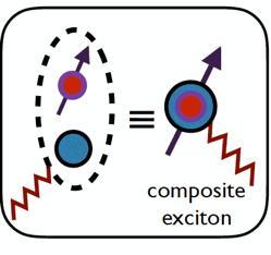 Composite exciton Fermi liquid (k) d electron N d electrons = N b = N F One option: bosons condense hbi 6=0 => Metal ( boring ) Fermi-bose mixture: b : spinless boson : neutral