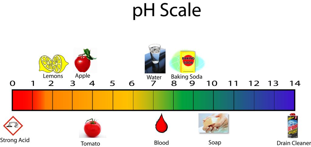 ph shows acidity or alkalinity of a solution; a ph of 7 is