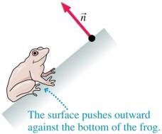 surface The surface exerts a tilted normal force on the frog Kinetic Friction When an object slides along a surface, the