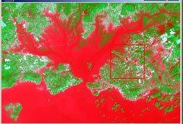 The advantage of image classification is the ability to create a series of land cover maps.
