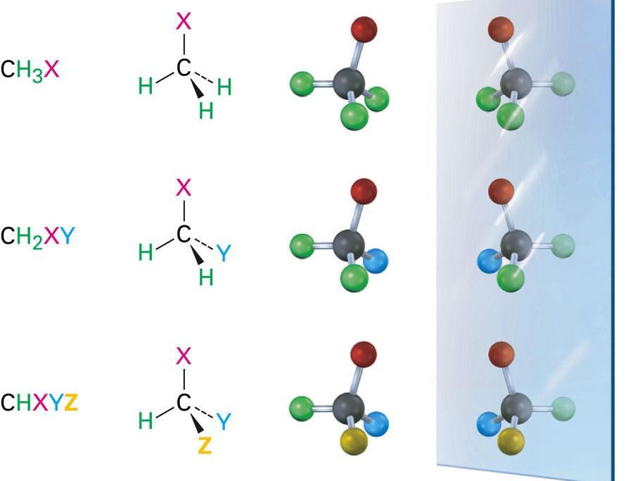 انانتیومر Examples of Enantiomers Molecules that have one carbon with 4