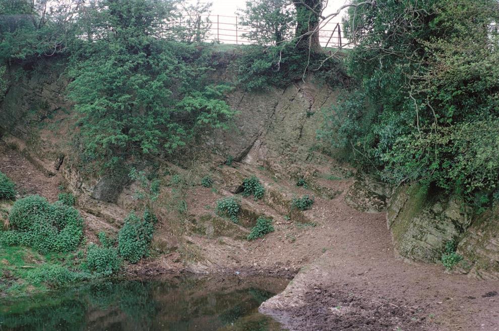 volcanic tuff, sandstones and pale and dark-coloured lavas. These layers are thought to extend to a depth of over 1200 m in the area of Knighton, Presteigne and Wigmore.