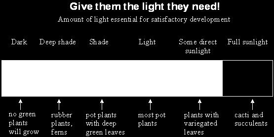 .... (3) Name two factors, other than light intensity, that would affect the rate of photosynthesis