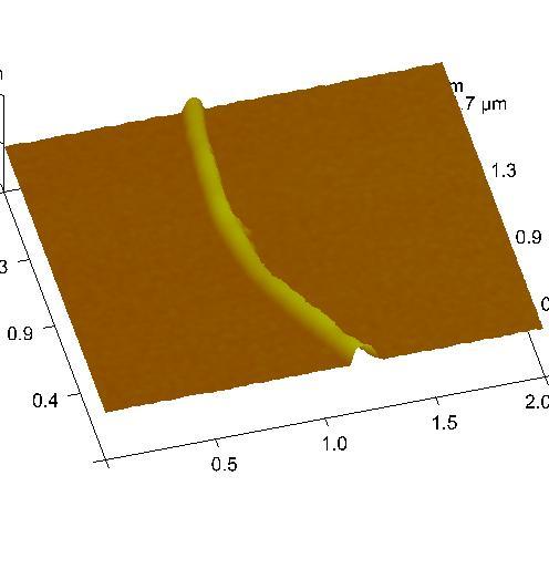 AFM Height Image CNTs P(StMa) pattern Si wafer SRC/SEMATECH Engineering