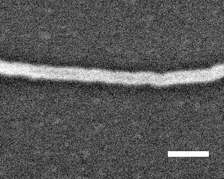 Carbon Nanotube (CNT) masking results (1) After spin-casting of CNTs
