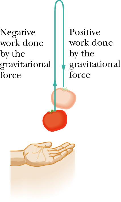 Work done by a Gravitational Force q Gravitational Force n Magnitude: mg n Direction: downwards to the Earth s