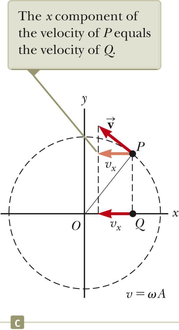 SHM and Circular Motion, 4 The angular speed of P is the same as the angular frequency of simple harmonic motion along the x axis.