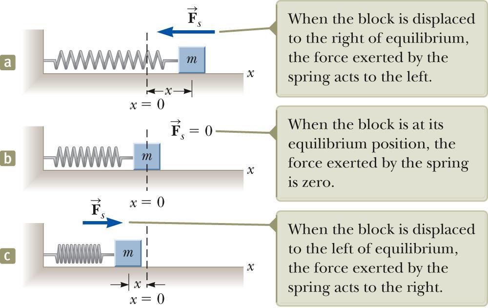 Motion of a Spring-Mass System A block of mass m is attached to a spring, the block is free to move on a frictionless horizontal surface.