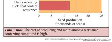 Plants with the resistance allele produce 34 percent fewer seeds than nonresistant plants, indicating a high cost for resistance to the