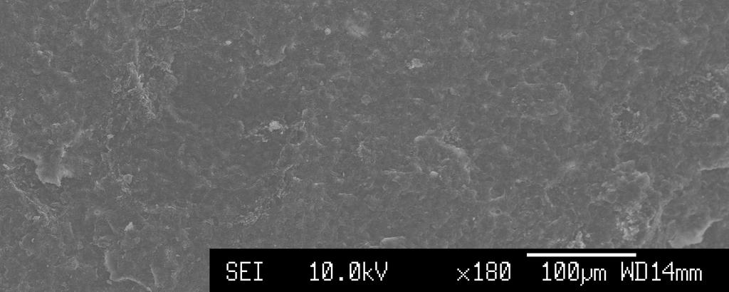 before visualising one of the exposed surfaces by SEM.