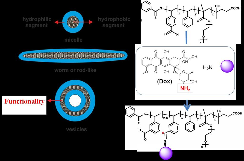 Scheme S2. Direct conjugation of DOX into nanoparticles via aldehyde groups.
