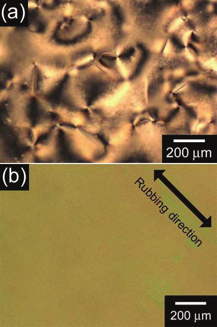 Fig. 1 Polarizing optical microscopic image of the nematic liquid crystal