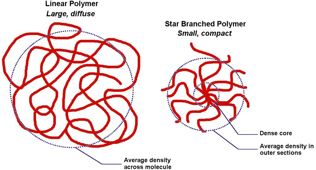How Does Branching Effect Molecular Properties The effect of branching is to decrease the size and increase the density of a polymer molecule at any given molecular weight in solution