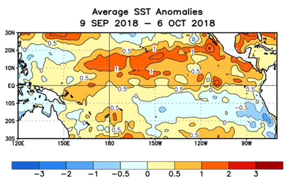 There is a 50-55% chance of El Niño onset during the Northern Hemisphere