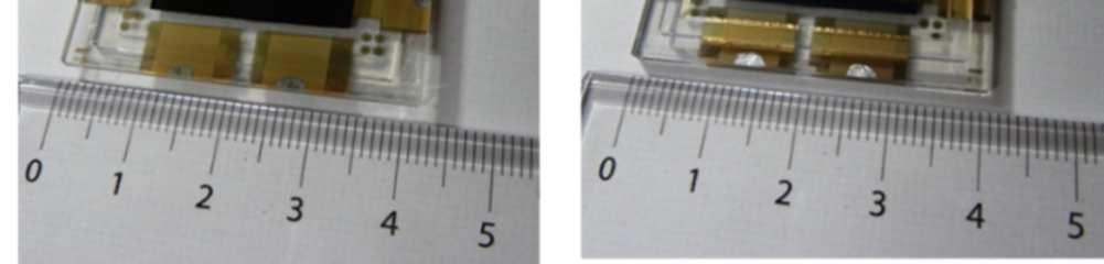 A photo of a MASnI 3 -based solar cell device, taken from (a) the light-incident side and (b) the backside with the Au electrode.