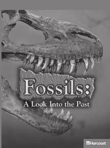 Fossils: A Look Into the Past READING FOCUS SKILLS: Sequence, Main Idea and Details VOCABULARY: fossil, fossil fuel, index fossil, mass extinction EXTENSIONS: Writing, Science, Language Arts, Art