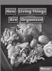 How Living Things Are Organized READING FOCUS SKILLS: Main Idea and Details, Compare and Contrast VOCABULARY: adaptation, classification, dichotomous key, genus, invertebrate, species, vertebrate