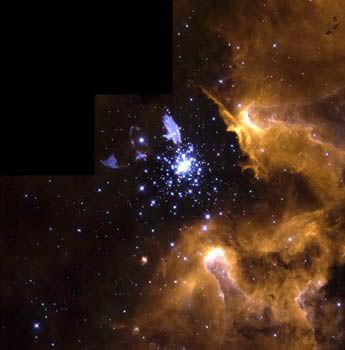 The Life Cycle of Stars Dense, dark clouds, possibly forming stars in