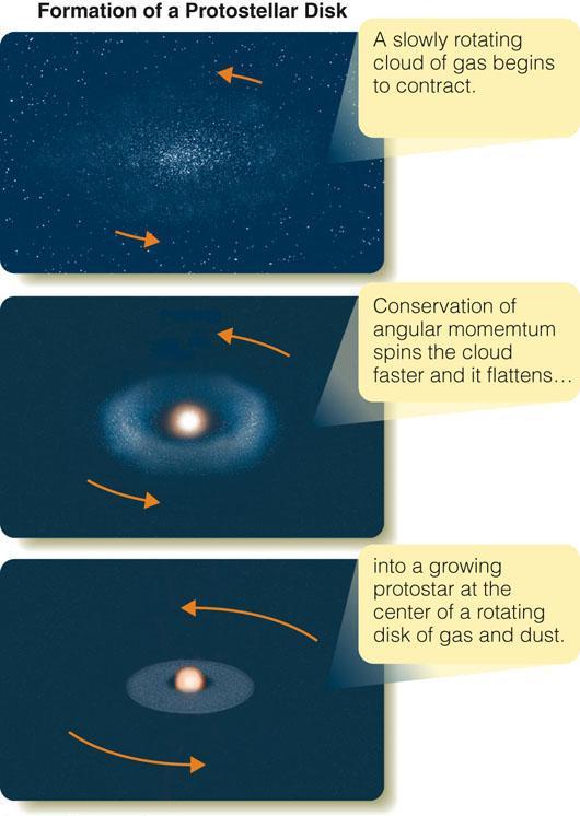 Protostellar Disks Conservation