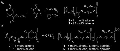 Alkene functional monomer 1 was synthesized from commercially available 2,2- bis(hydroxymethyl)propionic acid following literature procedure.
