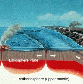 thick -- extremely high pressures Heat moves upward through mantle Forms convection cells Extreme heat comes from: Radioactive decay Friction
