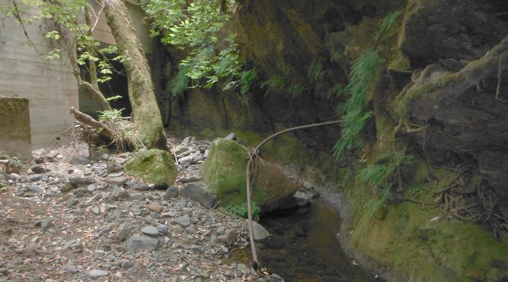 From CEMAR 2015 Groundwater seeping into Mark West Creek provides the primary source of water to Coho salmon and steelhead trout summer rearing