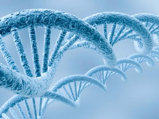 Molecular Basis of Inheritance Main Idea: DNA is packaged around