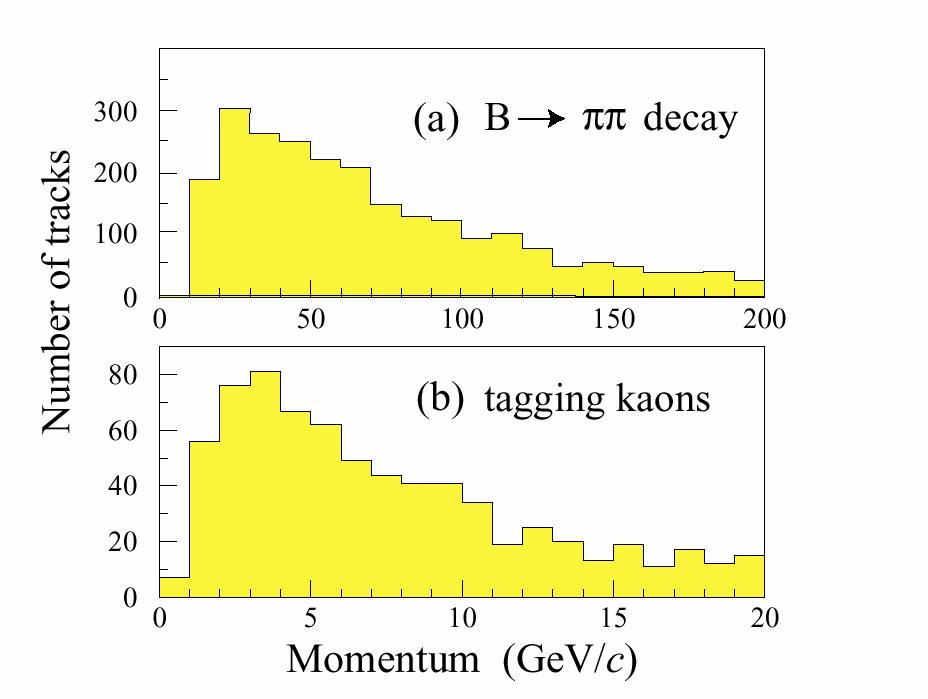 Requirements for the LHCb RICH Polar angle (mrad) Strong correlation between track momentum and polar angle. Physics requires identification of both low and high momentum hadrons.