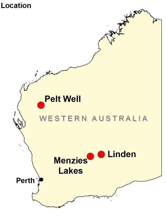 The licence is considered prospective for uranium, and has been named the Menzies Lakes Uranium Project.
