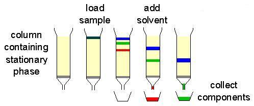 COC Biotechnology Program High Performance Liquid Chromatography (HPLC) Version B Chromatography is used by scientists to separate one substance from another in companies such as: food and beverage,