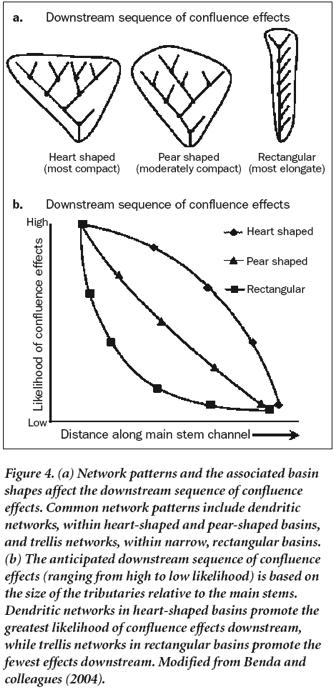 Size of tributaries influences confluence effects (bigger in relation to mainstem bigger effect).